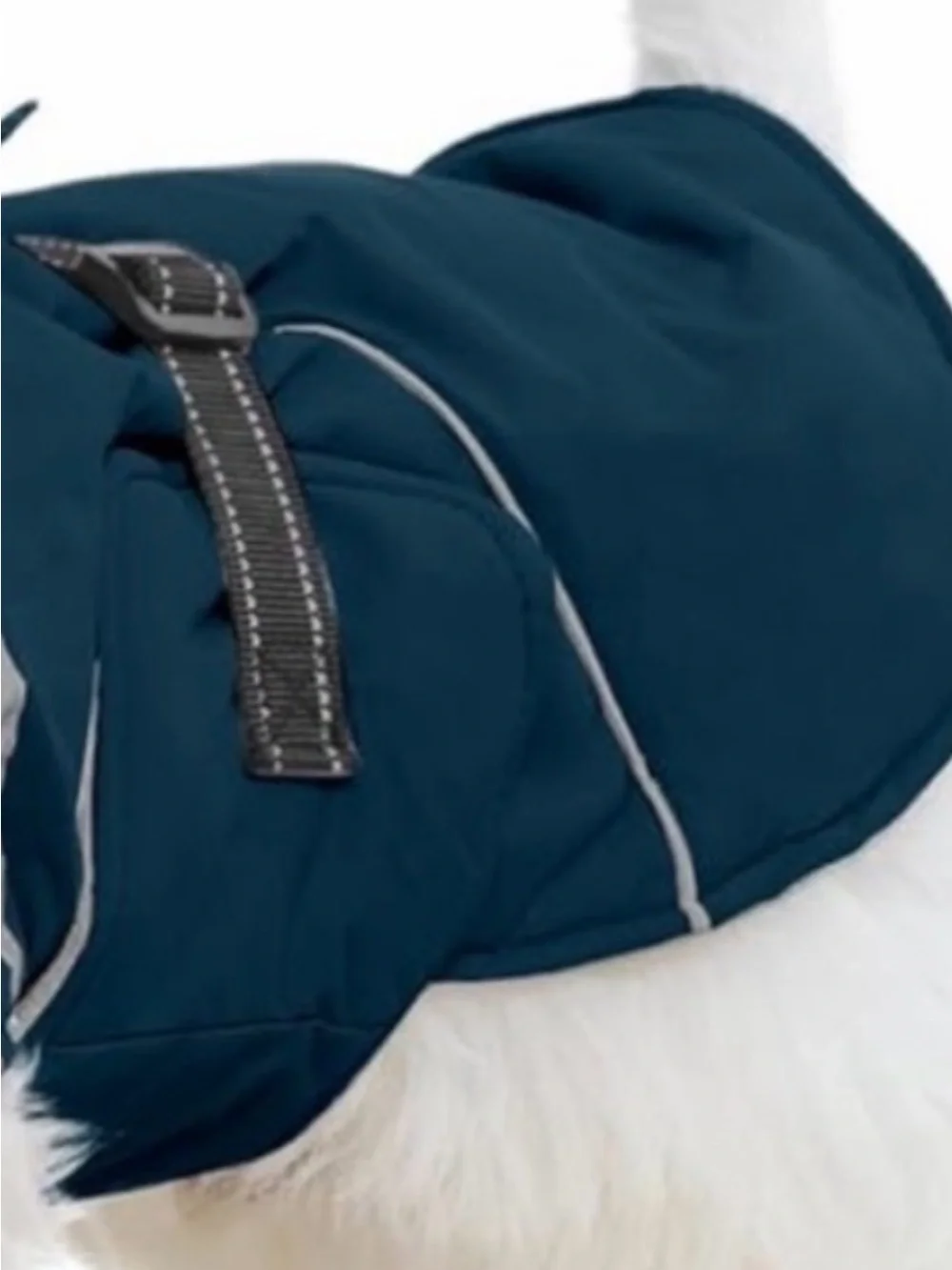 Teal Dog Raincoat with Reflective Stripes - Unbranded